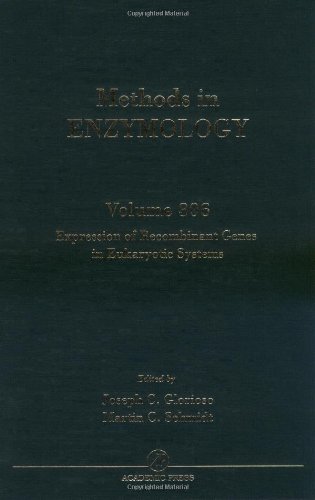 

basic-sciences/biochemistry/methods-in-enzymology-vol-306-experssion-of-recombinant-genes-in-eukaryoti-9780121822071