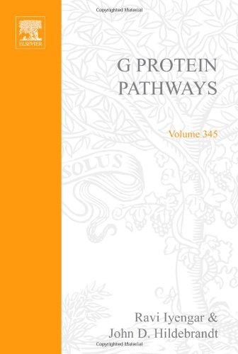 

mbbs/1-year/methods-in-enzymology-vol-345-g-protein-pathways-part-c-effector-mechami-9780121822460