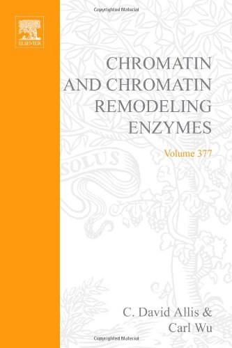 

special-offer/special-offer/methods-in-enzymology-vol-377-chromatin-and-chromatin-remodeling-enzymes-p--9780121827816