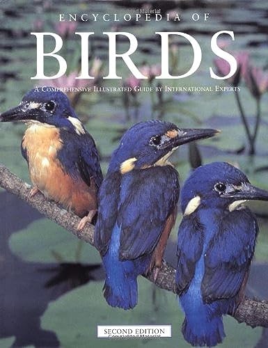 

general-books/general/encyclopedia-of-birds-2ed--9780122623400