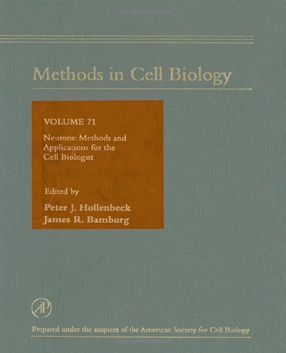 

general-books/general/methods-in-cell-biology-volume-71-neurons-methods-and-applications-for-th--9780123525659