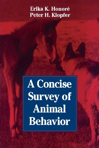 

technical//a-concise-survey-of-animal-behavior--9780123550651