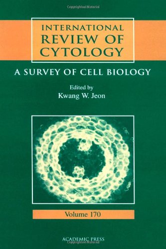 

general-books/general/international-review-of-cytology-vol-170--9780123645746
