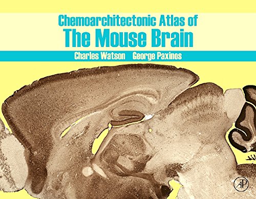 

surgical-sciences/nephrology/chemoarchitectonic-atlas-of-the-mouse-brain-1st-edition-9780123742384