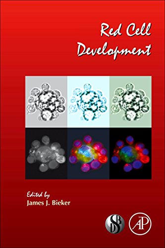 mbbs/1-year/red-cell-development-current-topics-in-developmental-biology-vol-82-9780123743664