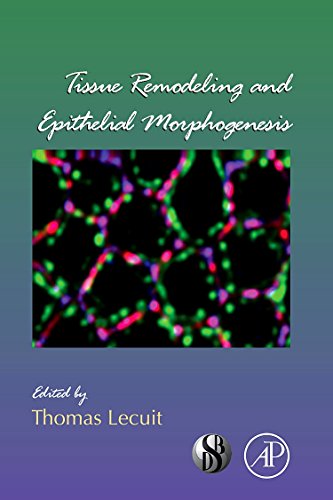 

mbbs/1-year/tissue-remodeling-and-epithelial-morphogenesis-volume-89-current-topics-9780123749024
