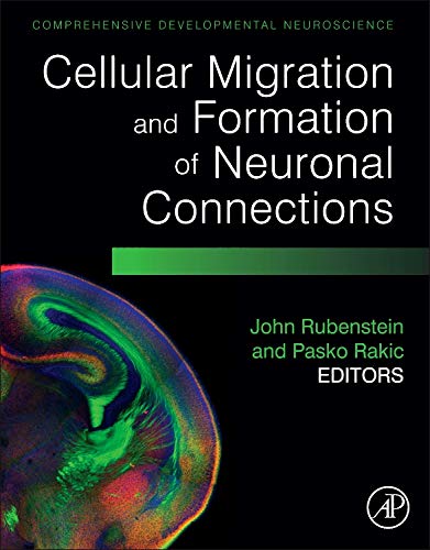 

surgical-sciences/nephrology/cellular-migration-and-formation-of-neuronal-connections-comprehensive-dev-9780123972668