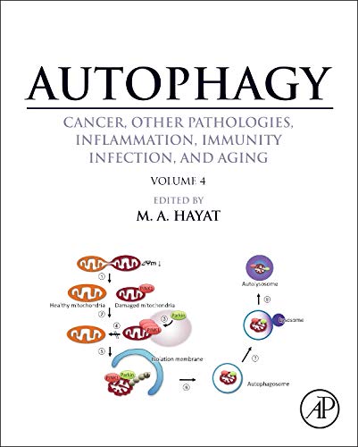 

exclusive-publishers/elsevier/autophagy-cancer-other-pathologies-inflammation-immunity-infection-a--9780124055285