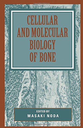 

general-books/general/cellular-and-molecular-biology-of-bone--9780125202251