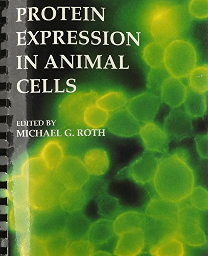 

technical//protein-expression-in-animal-cells--9780125985604