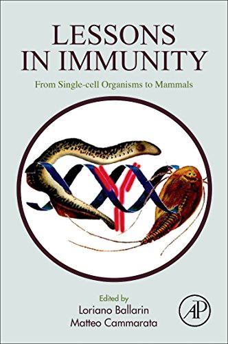 

exclusive-publishers/elsevier/lessons-in-immunity-from-single-cell-organisms-to-mammals-1-ed--9780128032527