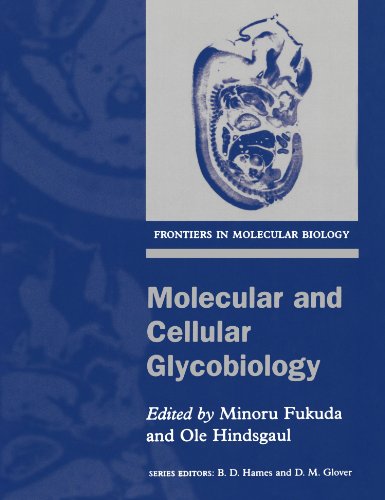 

general-books/general/molecular-and-cellular-glycobiology-frontiers-in-molecular-biology--9780199638062
