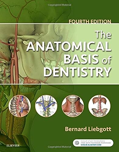 

dental-sciences/dentistry/the-anatomical-basis-of-dentistry-4e--9780323477307