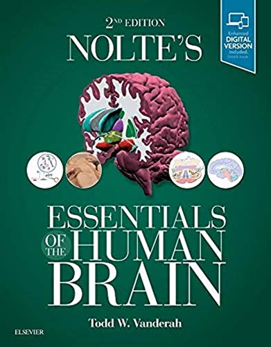 

general-books/general/essentials-of-the-human-brain-with-student-consult-online-access-2e--9780323529310