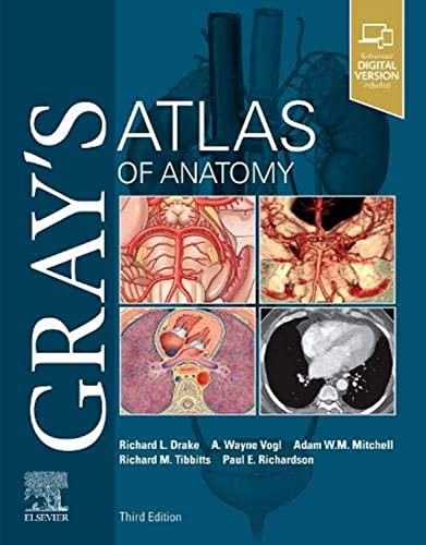 

exclusive-publishers/elsevier/gray-s-atlas-of-anatomy-3-ed--9780323636391