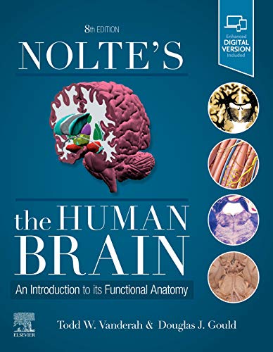 

exclusive-publishers/elsevier/nolte-s-the-human-brain-an-introduction-to-its-functional-anatomy-8e-9780323653985