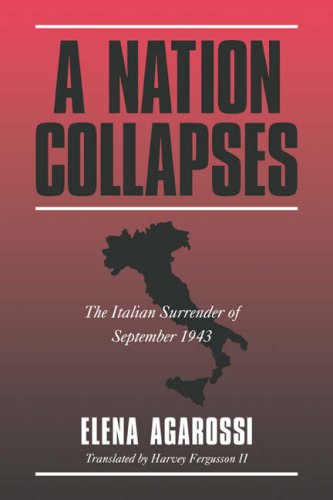 

technical/english-language-and-linguistics/a-nation-collapses--9780521025379