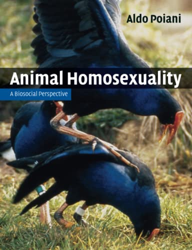 

exclusive-publishers/cambridge-university-press/animal-homosexuality--9780521145145