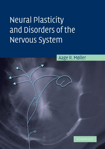 

exclusive-publishers/cambridge-university-press/neural-plasticity-and-disorders-of-the-nervous-system--9780521248952