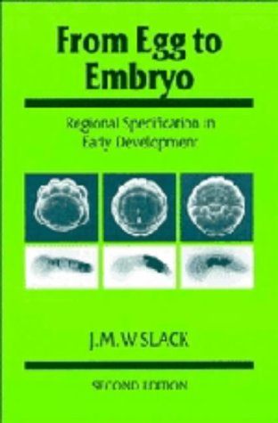

exclusive-publishers/cambridge-university-press/from-egg-to-embryo--9780521401081