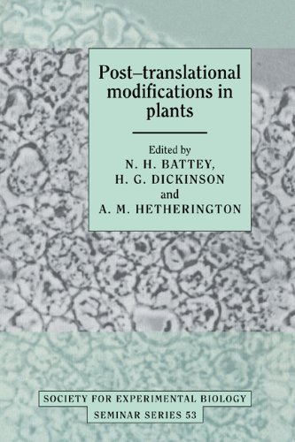 

exclusive-publishers/cambridge-university-press/post-translational-modifications-in-plants--9780521411813