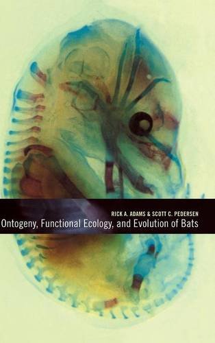 

exclusive-publishers/cambridge-university-press/ontogeny-functional-ecology-and-evolution-of-bats--9780521626323