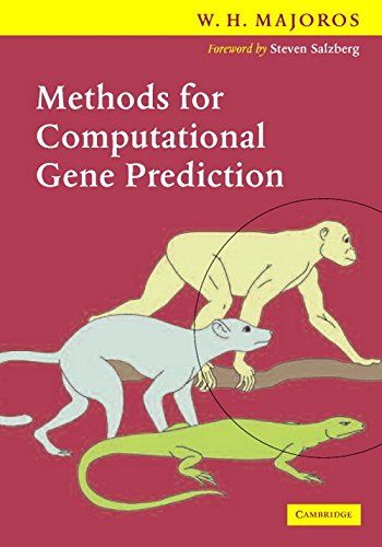 

exclusive-publishers/cambridge-university-press/methods-for-computational-gene-prediction--9780521706940