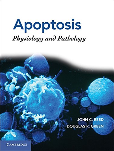 

mbbs/3-year/apoptosis-physiology-and-pathology-9780521886567