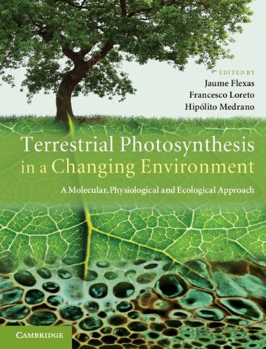 

technical/environmental-science/terrestrial-photosynthesis-in-a-changing-environme--9780521899413