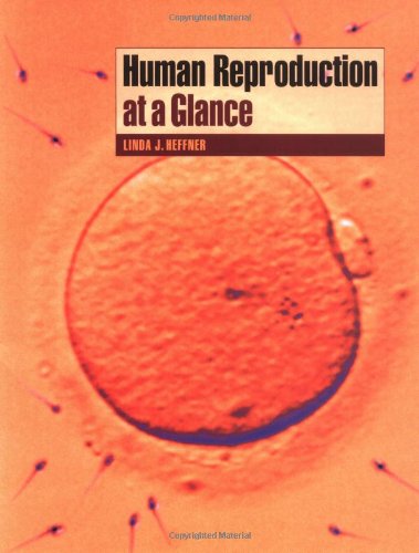 

surgical-sciences/obstetrics-and-gynecology/human-reproduction-at-a-glance--9780632054619