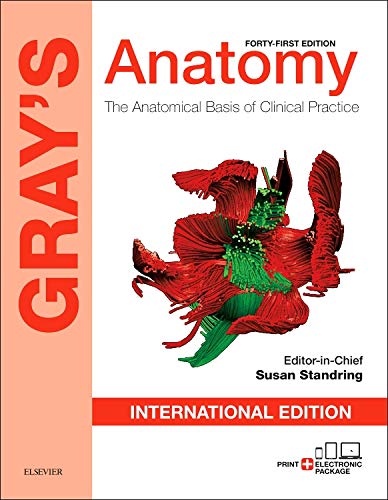 

mbbs/1-year/gray-s-anatomy-the-anatomical-basis-of-clinical-practice-41-ed--9780702063060