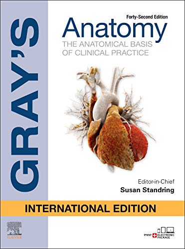 

general-books/general/gray-s-anatomy-international-edition-42e-9780702077067
