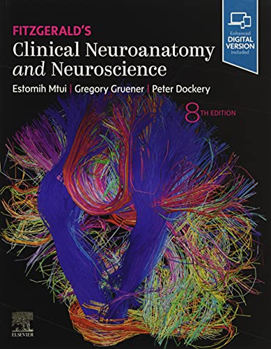 

exclusive-publishers/elsevier/fitzgeald-s-clinical-neuroanatomy-and-neuroscience-8ed--9780702079092