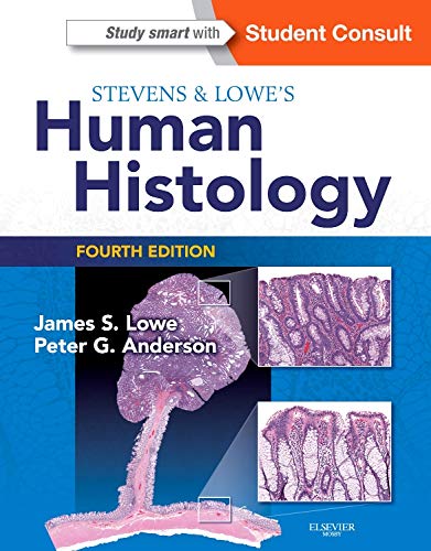 

basic-sciences/anatomy/stevens-lowe-s-human-histology-with-student-consult-online-access-4e-9780723435020