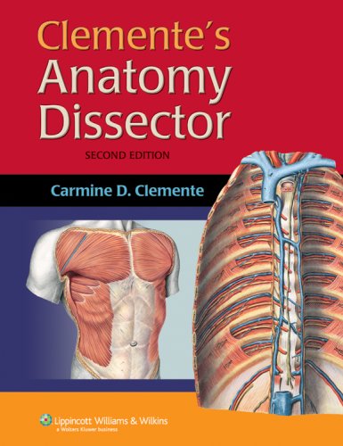 

general-books/general/clemente-s-anatomy-dissector-2ed--9780781763394