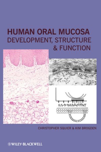 

general-books/general/human-oral-mucosa-development-structure-and-function--9780813814865