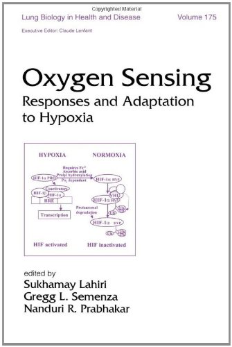 

clinical-sciences/respiratory-medicine/lung-biology-in-health-and-disease-vol-175-oxygen-sensing--9780824709600