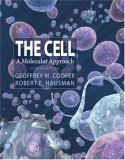 

general-books/life-sciences/the-cell-a-molecular-approach-4ed--9780878932191