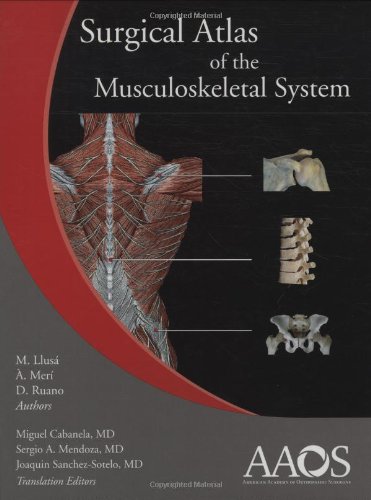 

general-books/general/surgical-atlas-of-the-musculoskeletal-system--9780892033942