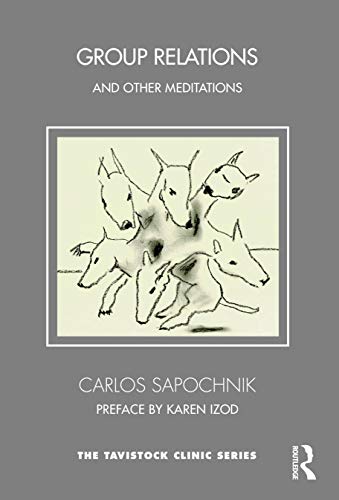 

general-books/general/group-relations-and-other-meditations-9781032051178