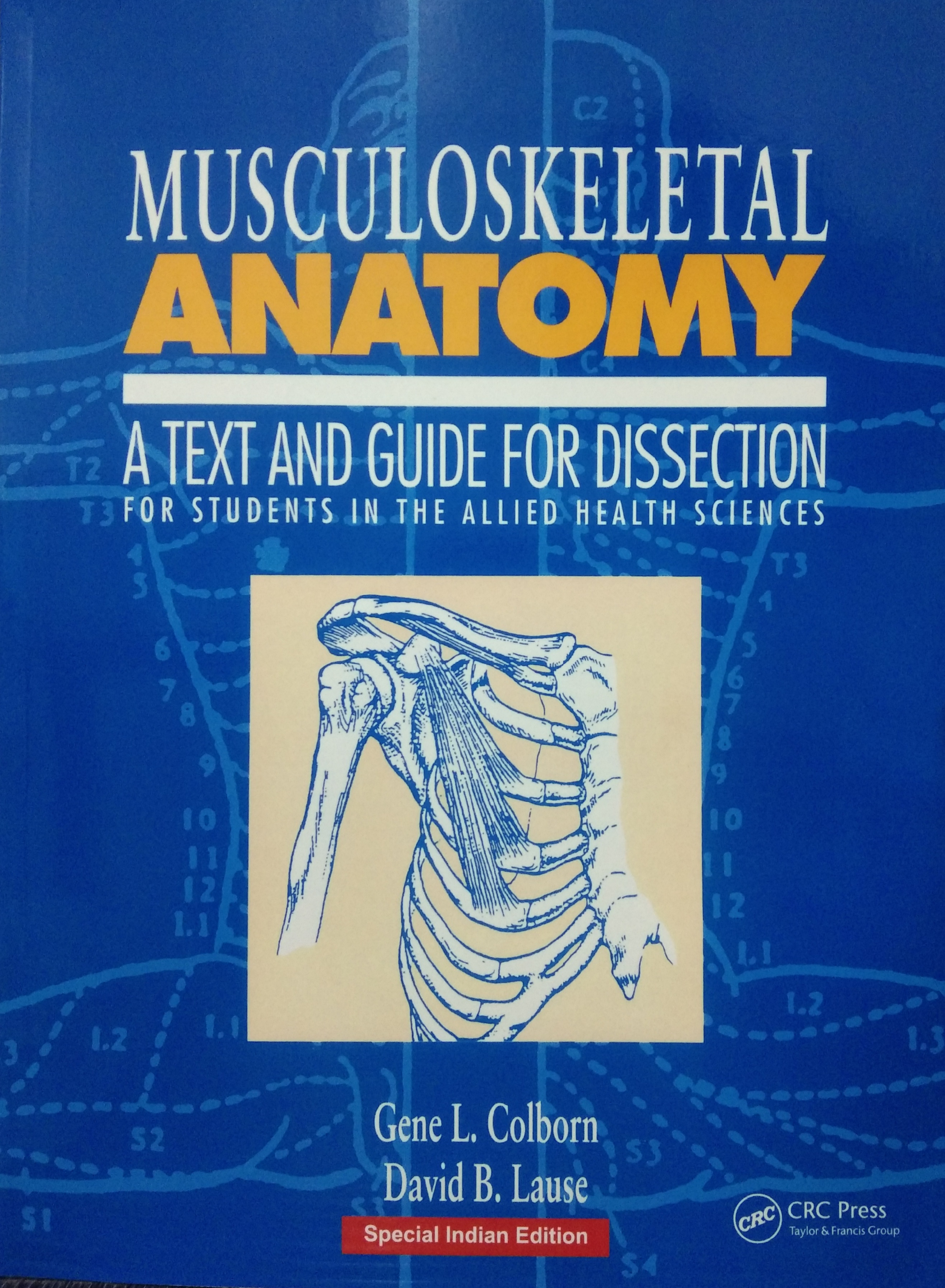 

exclusive-publishers/taylor-and-francis/musculoskeletal-anatomy-9781032520520