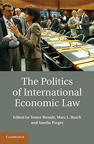 

general-books/law/the-politics-of-international-economic-law--9781107003552
