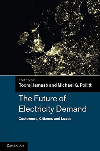 

general-books/general/the-future-of-electricity-demand--9781107008502