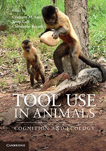 

exclusive-publishers/cambridge-university-press/tool-use-in-animals--9781107011199