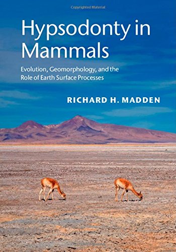 

exclusive-publishers/cambridge-university-press/hypsodonty-in-mammals--9781107012936