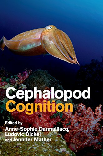 

special-offer/special-offer/cephalopod-cognition--9781107015562