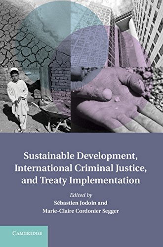 

general-books/law/sustainable-development-international-criminal-la--9781107032934