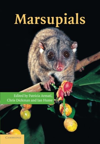 

exclusive-publishers/cambridge-university-press/marsupials--9781107406070