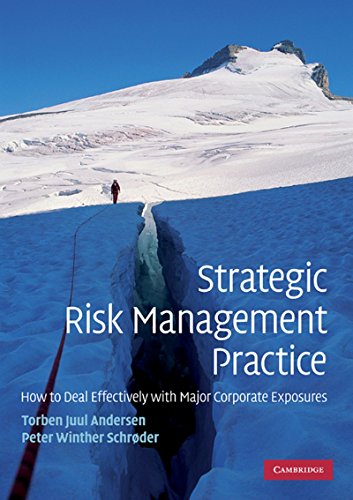 

technical/management/strategic-risk-management-practice-south-asian-edition--9781107601901