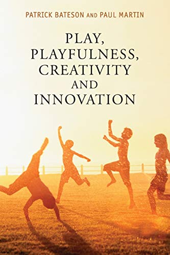 

general-books/general/play-playfulness-creativity-and-innovation--9781107689343